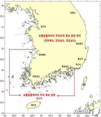본문 이미지 - 보름달물해파리 주의단계 특보 발령 해역(해양수산부 제공)ⓒ 뉴스1