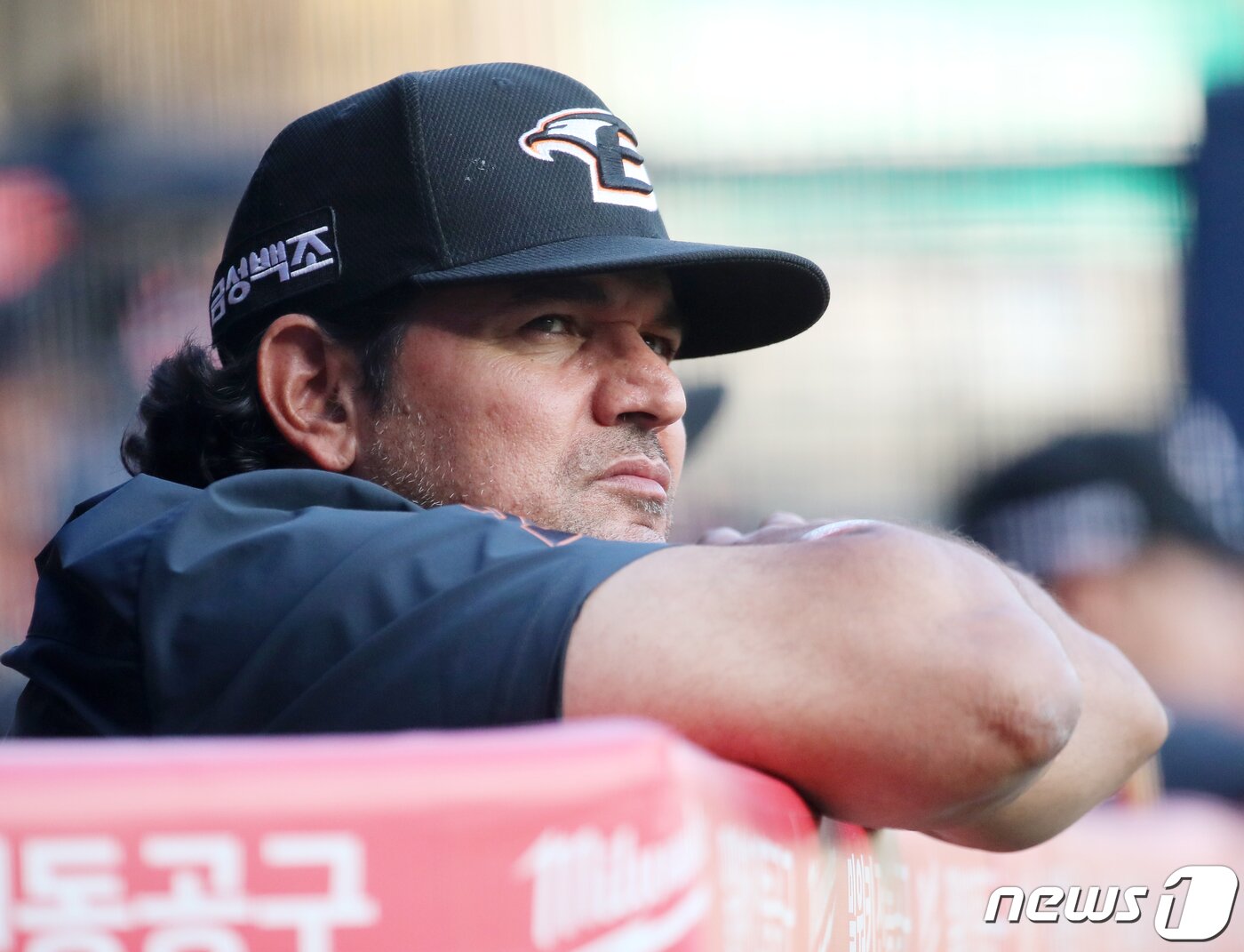 본문 이미지 - 21일 오후 서울 송파구 잠실야구장에서 열린 프로야구 '2022 신한은행 SOL KBO리그' 한화이글스와 LG트윈스의 경기, 한화 수베로 감독이 1회말 LG 공격을 지켜보고 있다. 2022.6.21/뉴스1 ⓒ News1 김진환 기자