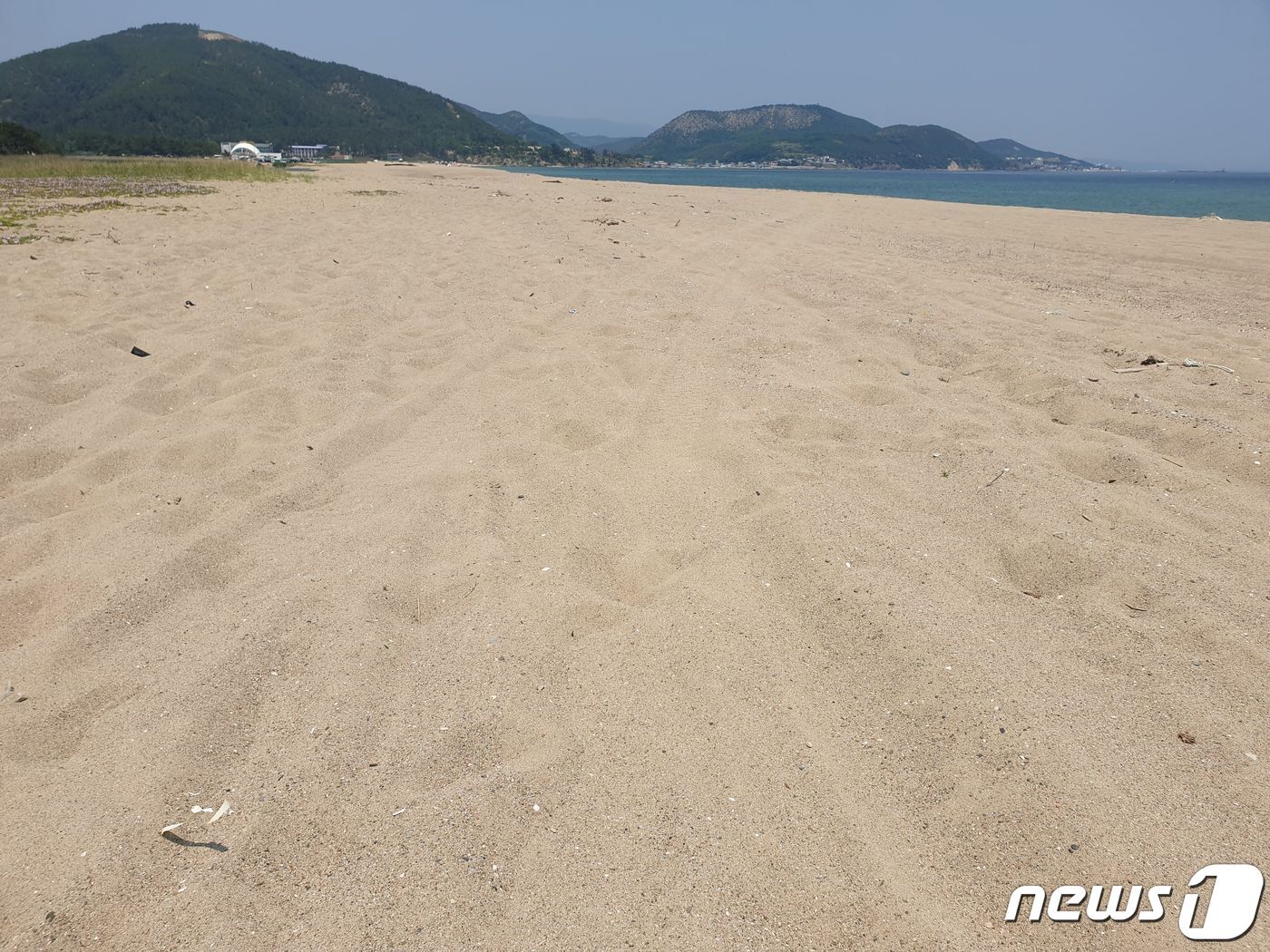 본문 이미지 - 지난 20일 경북 포항시 북구 흥해읍 해안. 10년 이상 찾아온 쇠제비갈매기들이 올해는 단 한마리도 찾지 않은 것으로 확인됐다.2022.6.22/ⓒ 뉴스1 최창호 기자
