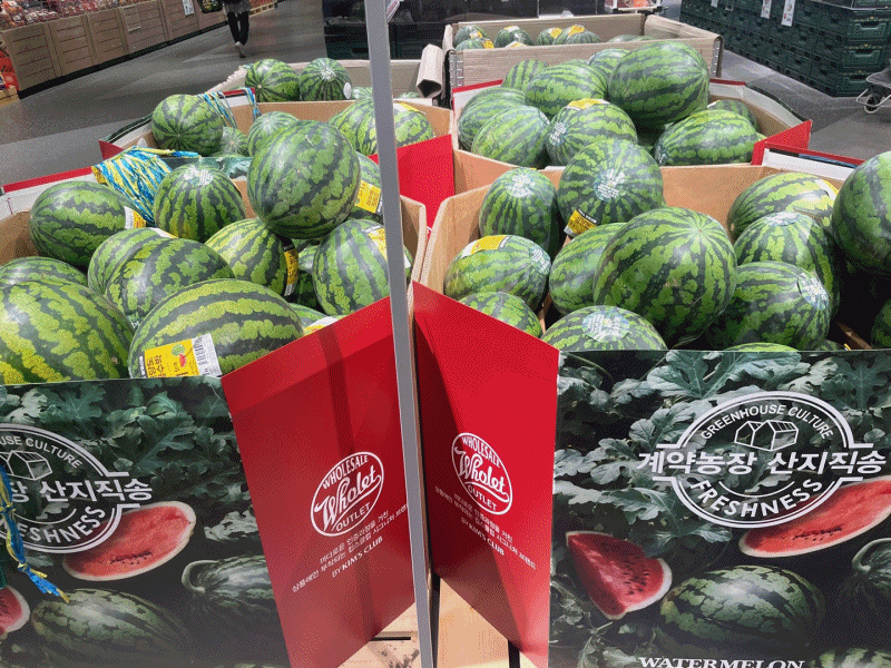 본문 이미지 - 홀렛팜·홀렛 씨푸드·홀렛 미트 제품 사진. ⓒ 뉴스1 신민경 기자