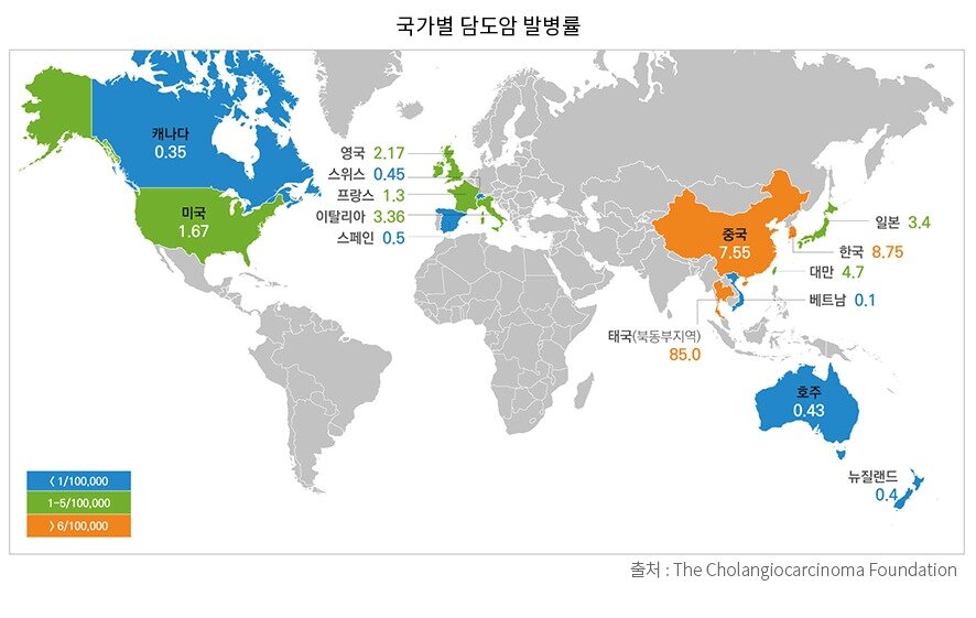 본문 이미지 - (분당서울대병원 제공) ⓒ 뉴스1