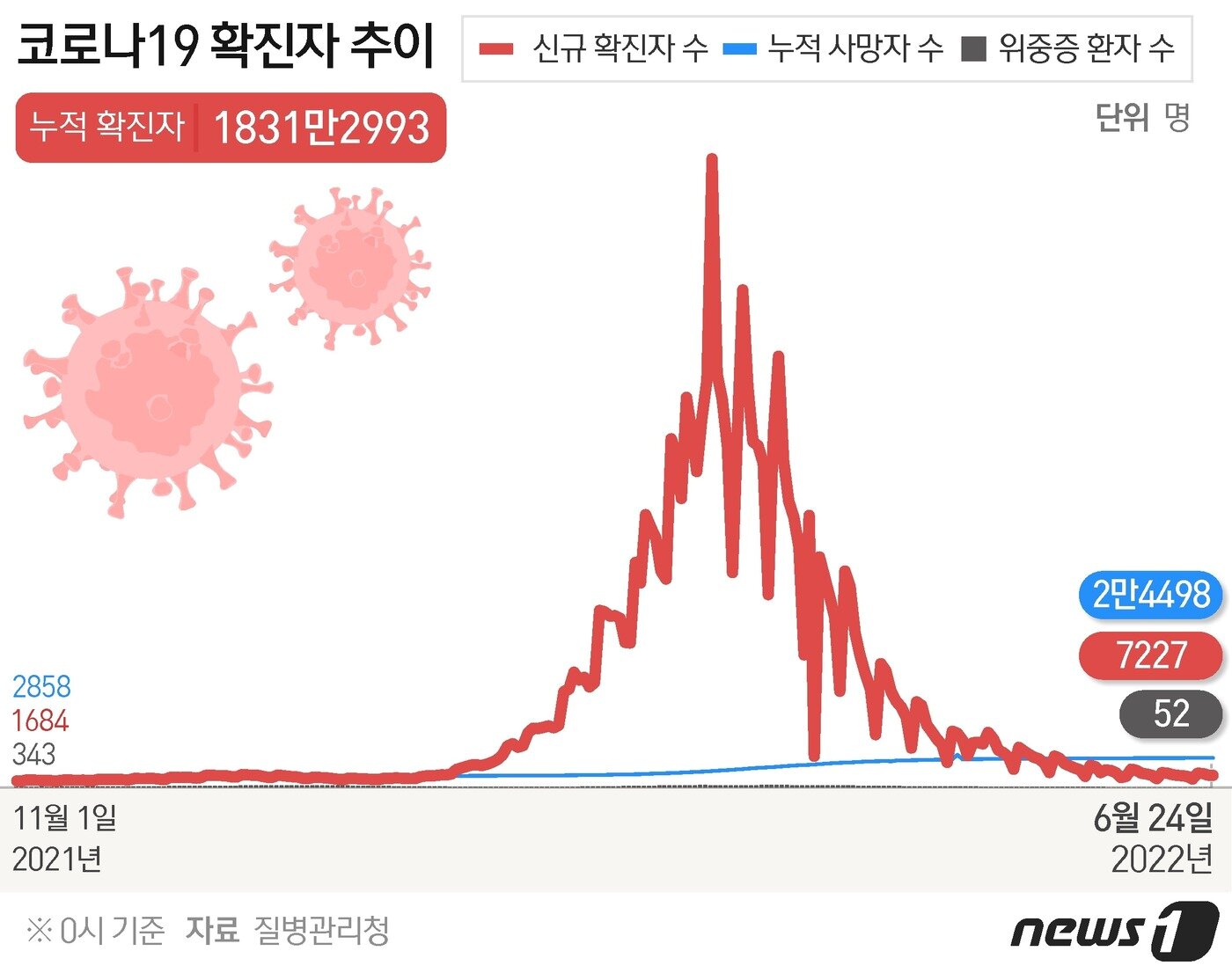 본문 이미지 - ⓒ News1 김초희 디자이너