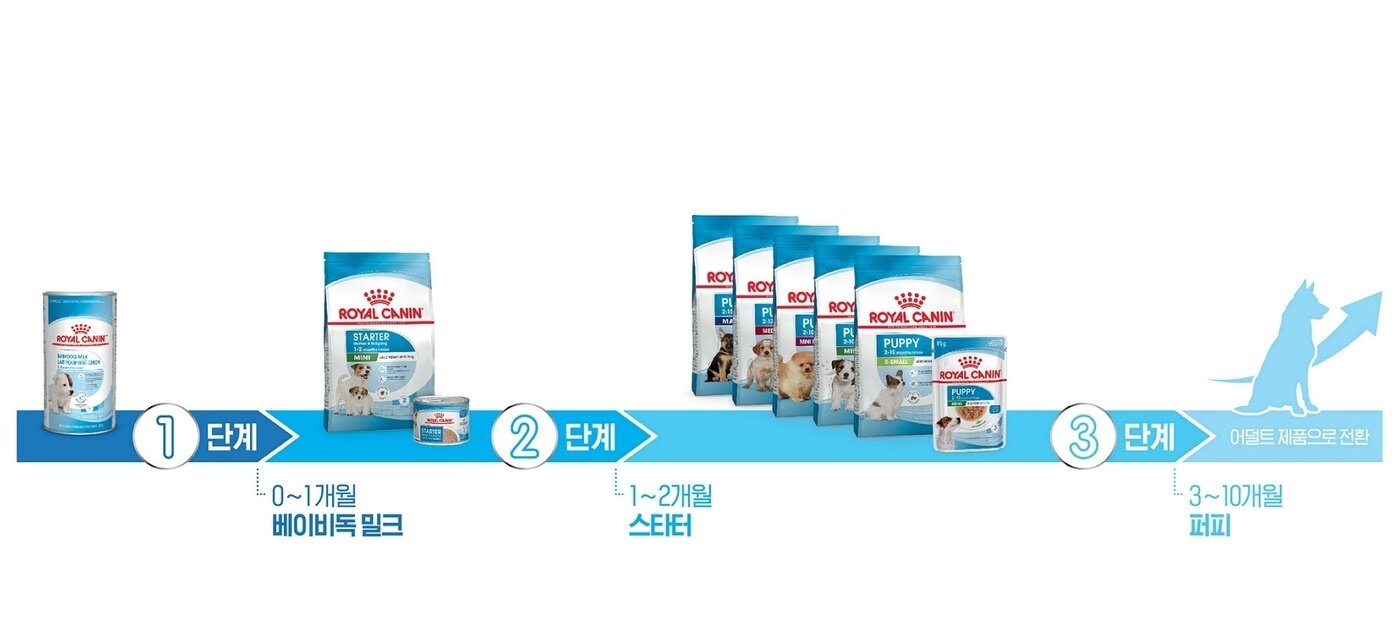 본문 이미지 - 로얄캐닌 제공 ⓒ 뉴스1