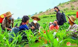 농업 생산 증대 추진하는 북한…'집단주의 정신' 강조