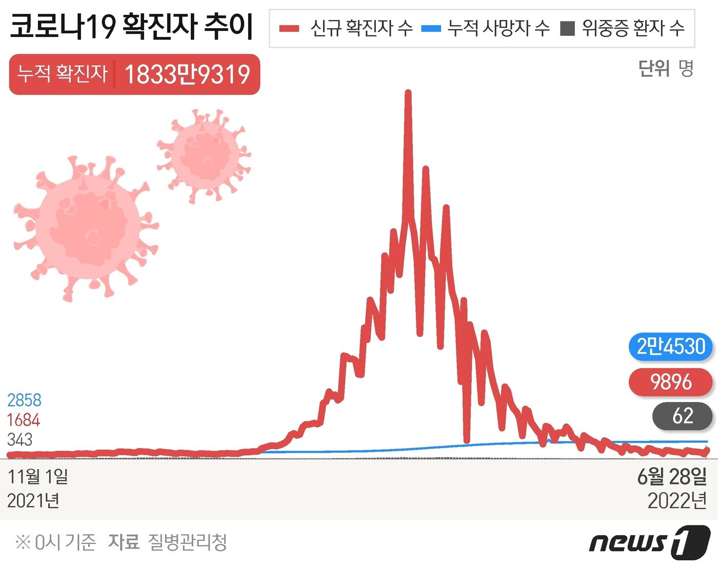 본문 이미지 - ⓒ News1 김초희 디자이너