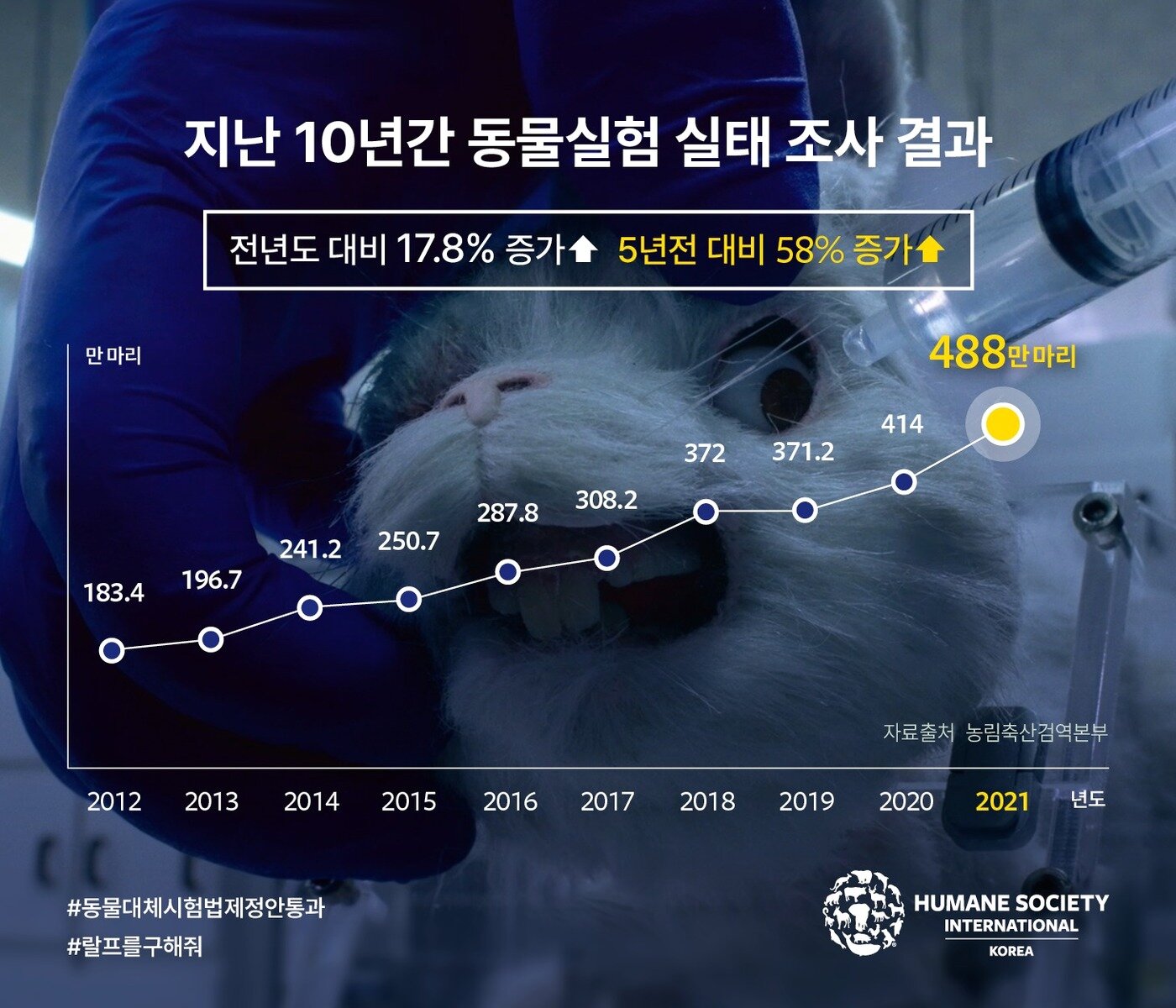 본문 이미지 - 10년간 동물실험 실태 조사 결과(HSI 제공) ⓒ 뉴스1