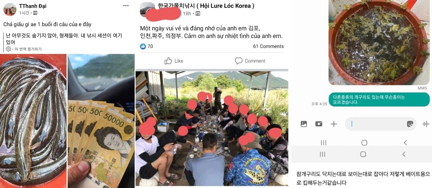 본문 이미지 - A씨는 동남아인들이 가물치를 팔아 돈을 벌고, 미끼로 쓰기 위해 토종 개구리까지 닥치는 대로 잡아들이는 것 같다고 했다. ⓒ 뉴스1