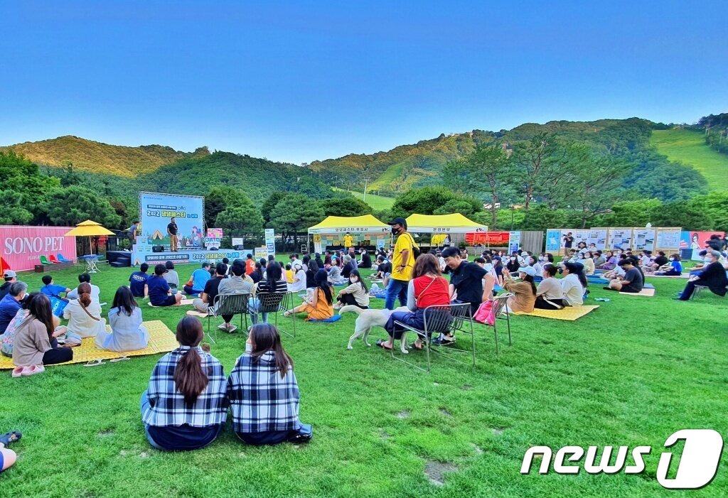 본문 이미지 - 강형욱 훈련사가 24일 홍천 소노펫 클럽앤리조트에서 열린 &#39;2022 댕댕페스타 in 강원&#39;에서 강연을 하고 있다. ⓒ 뉴스1 최서윤 기자