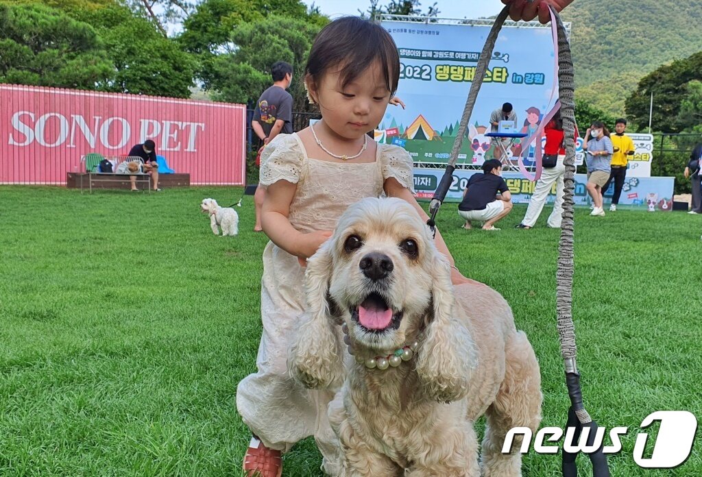 본문 이미지 - &#39;2022 댕댕페스타 in 강원&#39;이 25일 홍천 소노펫 클럽앤리조트에서 열렸다. ⓒ 뉴스1 최서윤 기자