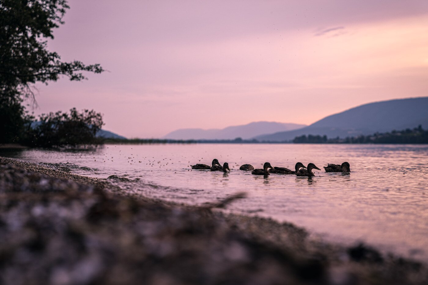 본문 이미지 - 세인트 패터섬의 일몰(스위스관광청 제공)ⓒ 뉴스1