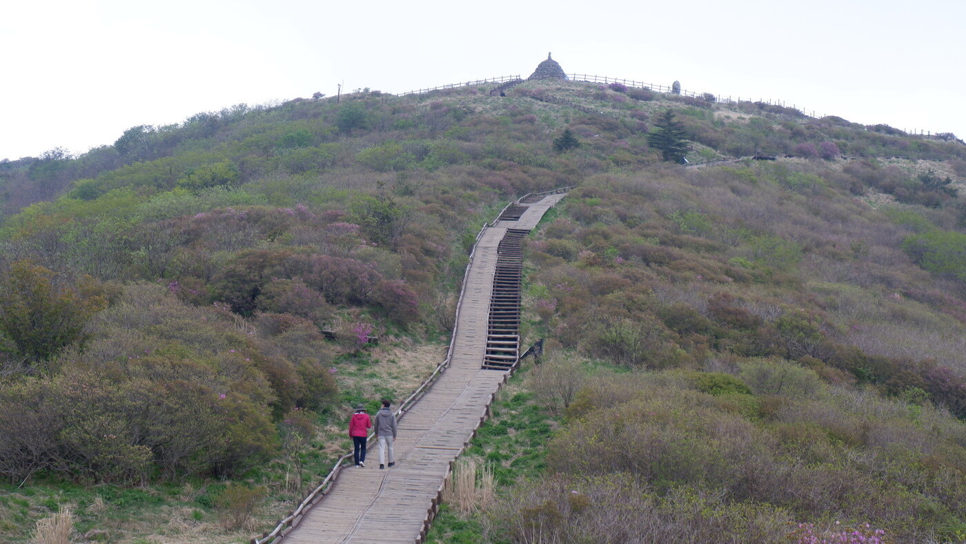 본문 이미지 - 노고단을 오르는 탐방객들ⓒ 뉴스1