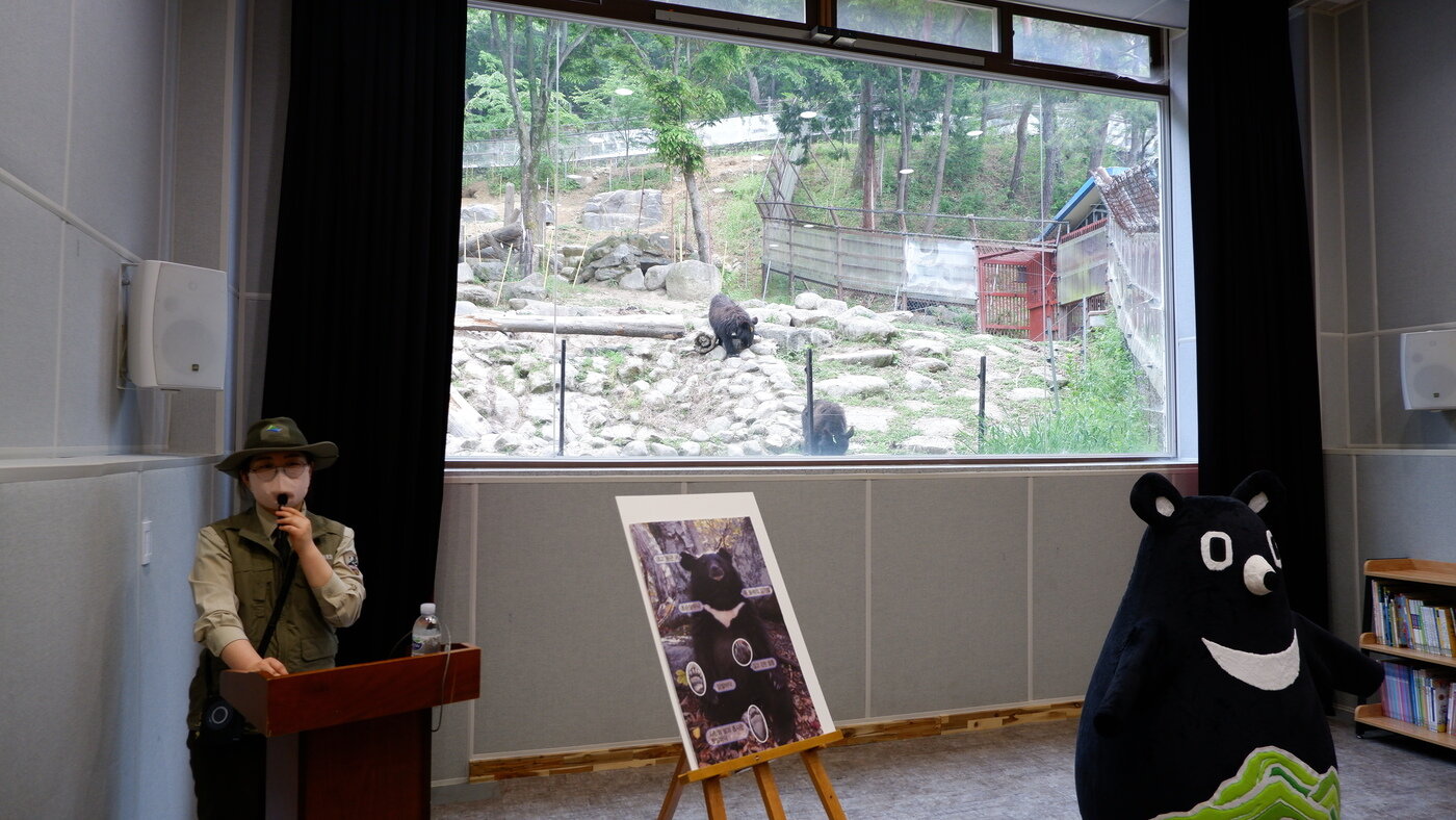 본문 이미지 - 종복원기술원에서 진행하는 '반달가슴곰 탐방프로그램'ⓒ 뉴스1