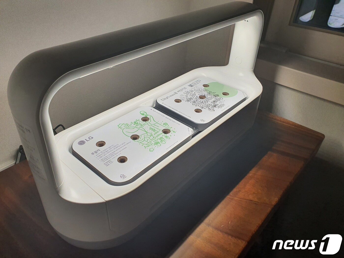 본문 이미지 - LG 틔운 미니를 설치한 모습 ⓒ 뉴스1