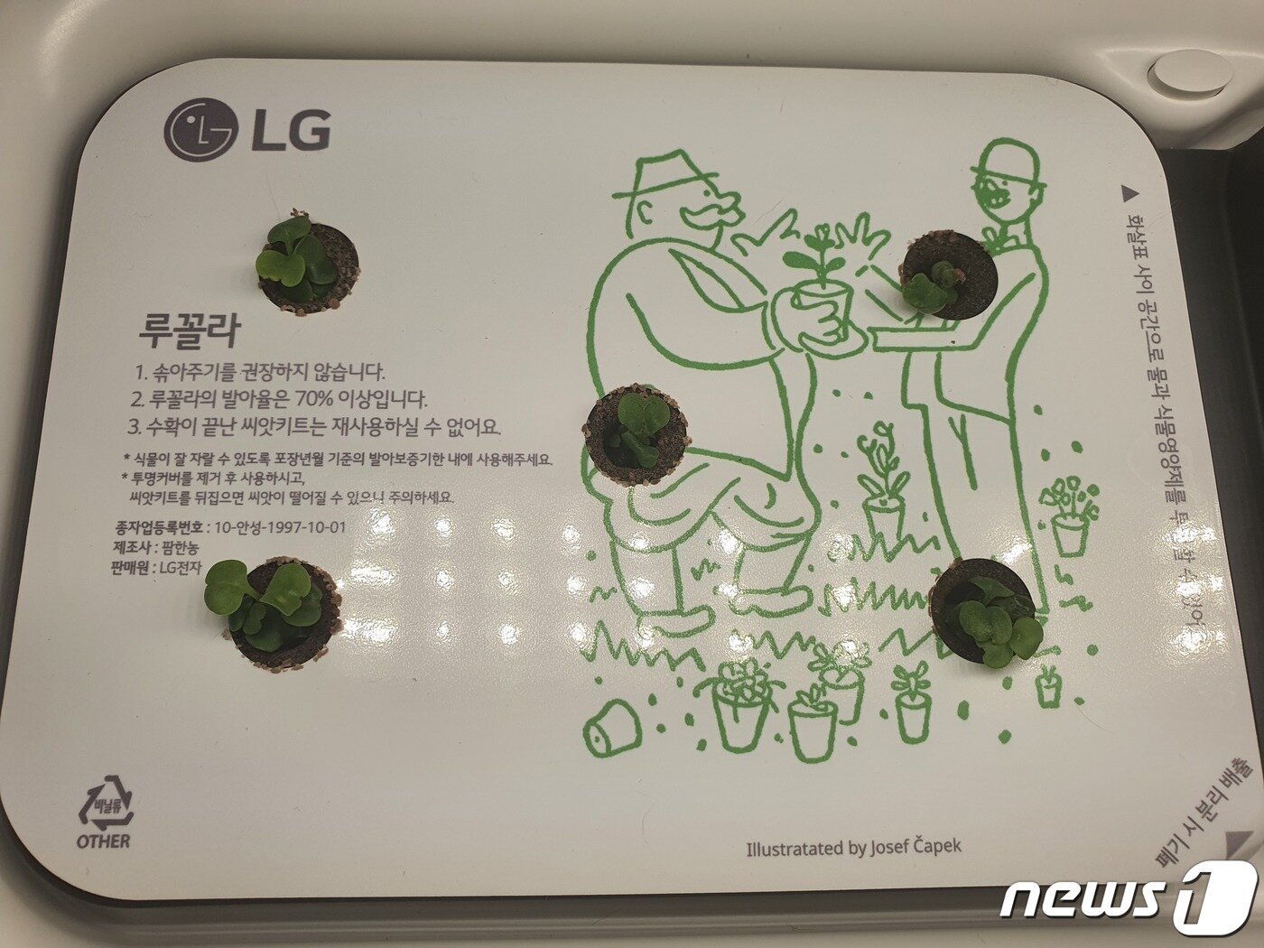 본문 이미지 - 설치 후 일주일이 지나자 새싹을 틔웠다 ⓒ 뉴스1