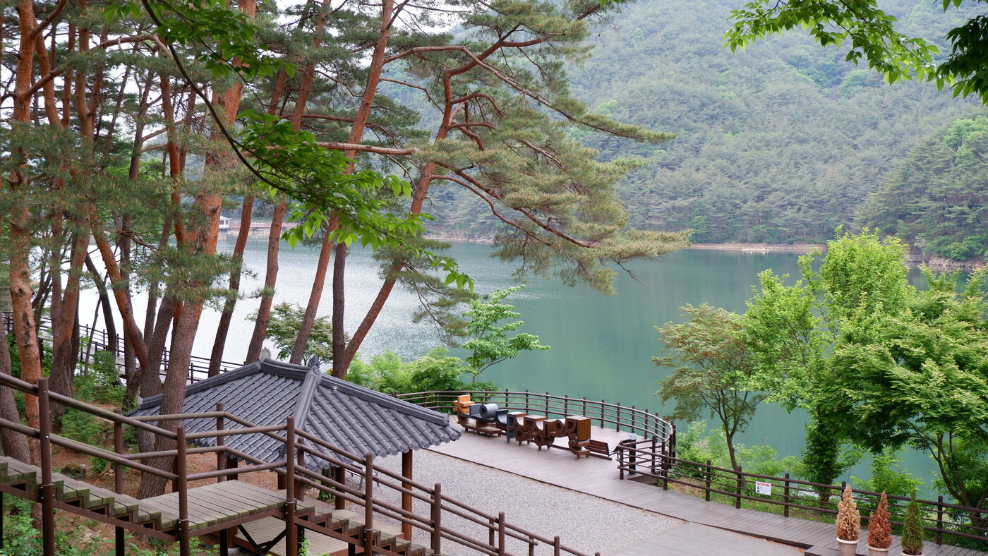 본문 이미지 - 천은사 사찰 카페에서 바라본 저수지ⓒ 뉴스1