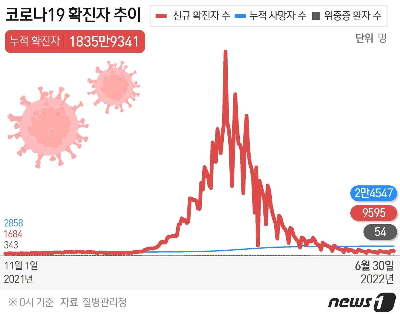 본문 이미지 - ⓒ News1 김초희 디자이너