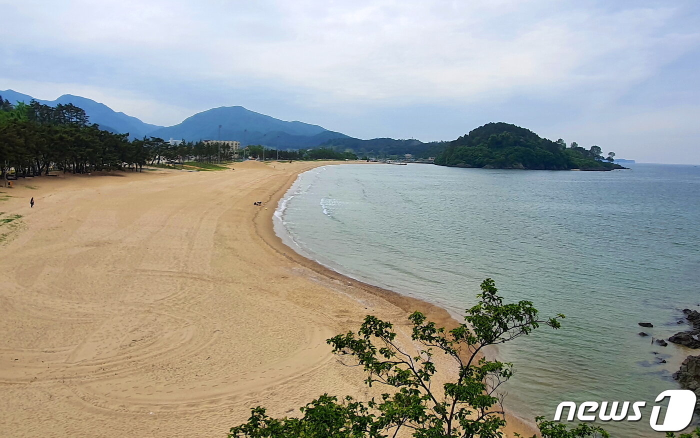 본문 이미지 - 변산해수욕장. 1933년에 개장된, 가장 오래된 해수욕장. 하얀 모래밭과 푸른 소나무숲이 어우러져 백사청송(白沙靑松)으로 불린다 ⓒ 뉴스1