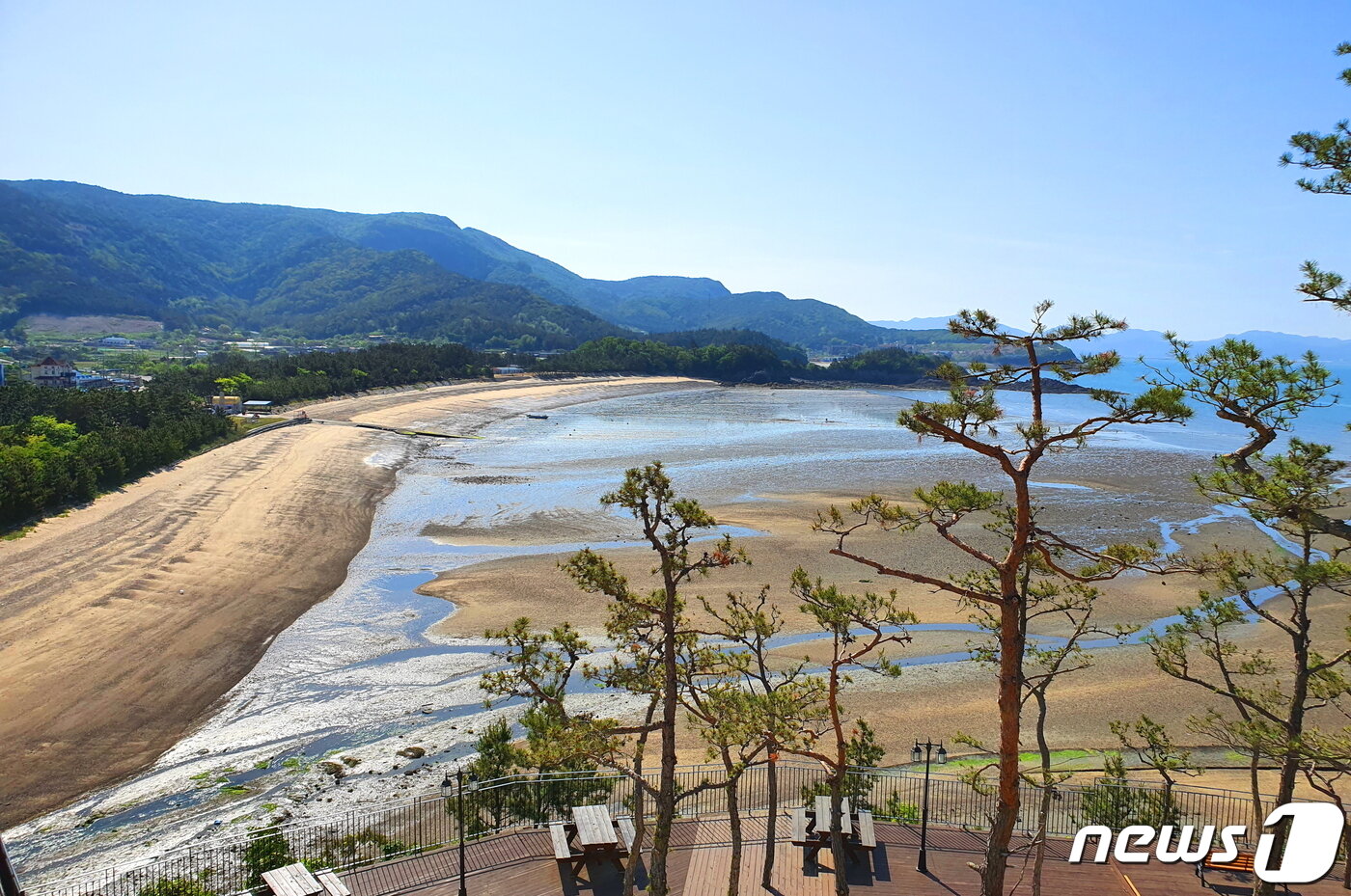 상록해수욕장. 곰솔숲에 너른 야영장이 있고, 물 빠진 백사장과 갯벌은 아이들의 천국이다 ⓒ 뉴스1