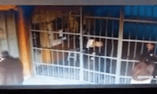 본문 이미지 - (페이스북 갈무리) ⓒ 뉴스1