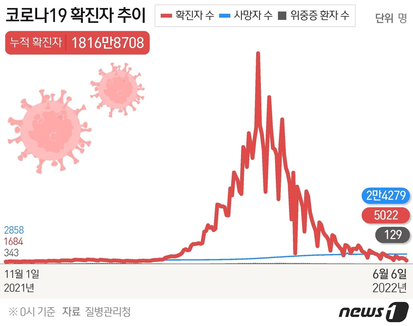 본문 이미지 - ⓒ News1 최수아 디자이너