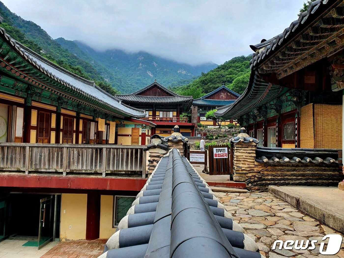 본문 이미지 - 동학사 승가대학. 비구니 스님들의 도량(道場). 뒤에 구름에 잠긴 계룡산 ⓒ 뉴스1
