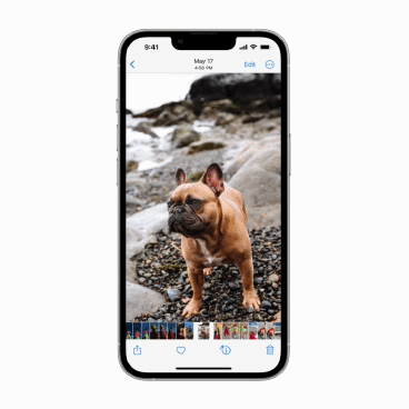본문 이미지 - 아이폰 새 운영체제(OS)인 iOS16의 '이미지 테두리 편집' 기능(애플 제공) ⓒ 뉴스1