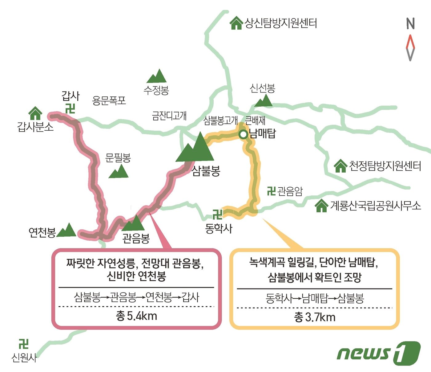 본문 이미지 - ⓒ News1 윤주희 디자이너