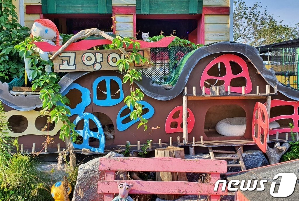 본문 이미지 - 인천 영흥도 고양이역 카페 전경 ⓒ 뉴스1 최서윤 기자