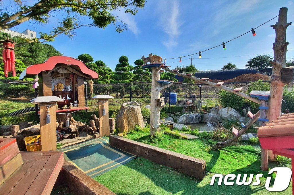 본문 이미지 - 인천 영흥도 고양이역 카페 전경 ⓒ 뉴스1 최서윤 기자