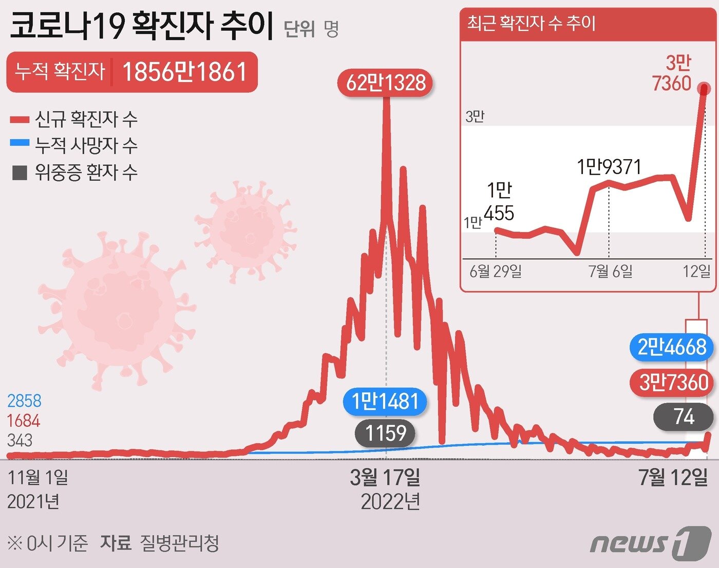 본문 이미지 - 12일 0시기준 코로나19 확진자 추이 ⓒ News1 윤주희 디자이너