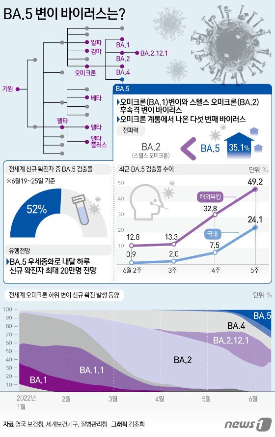 본문 이미지 - ⓒ News1 김초희 디자이너
