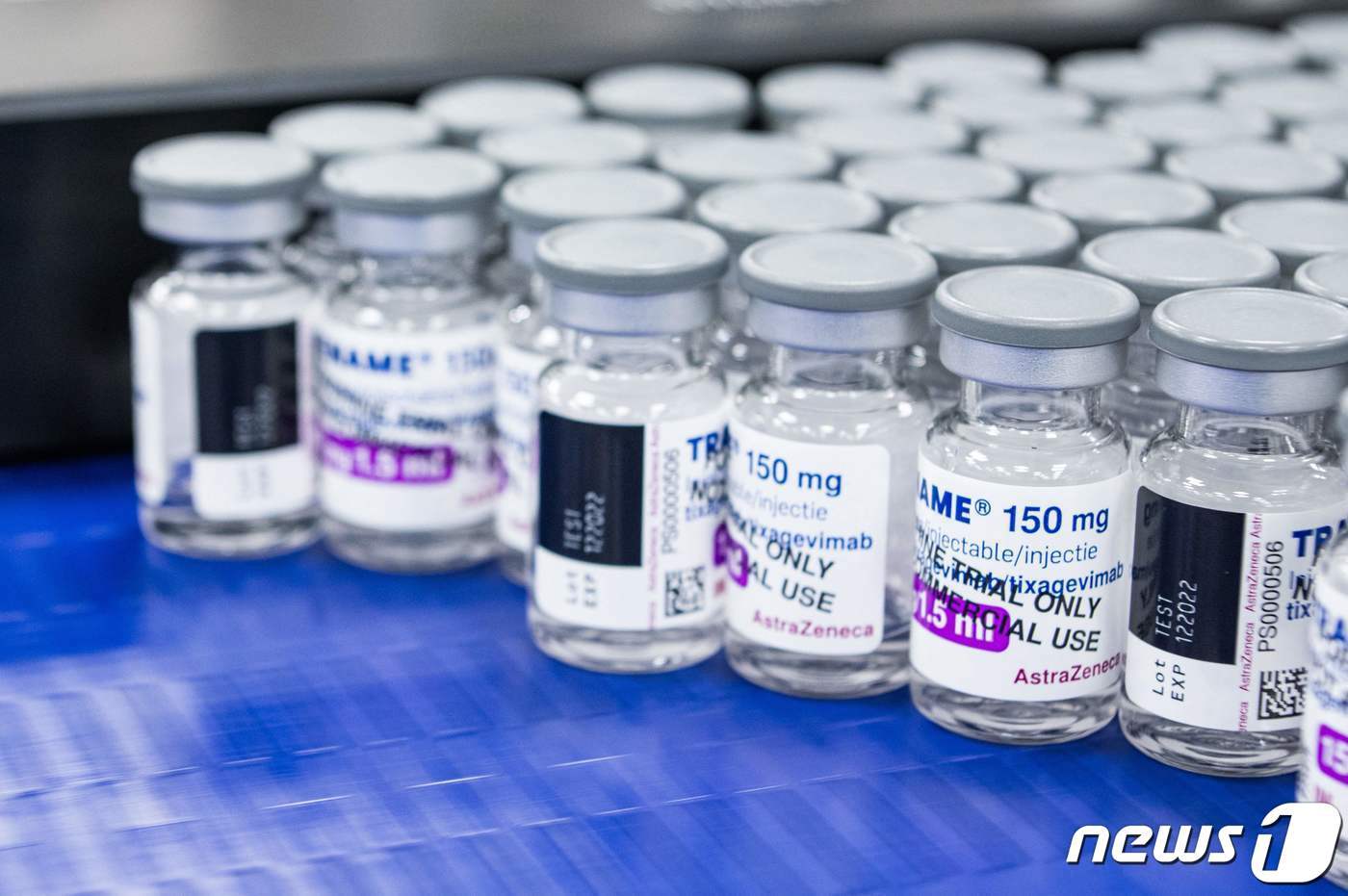 본문 이미지 - ⓒ AFP=뉴스1 자료 사진