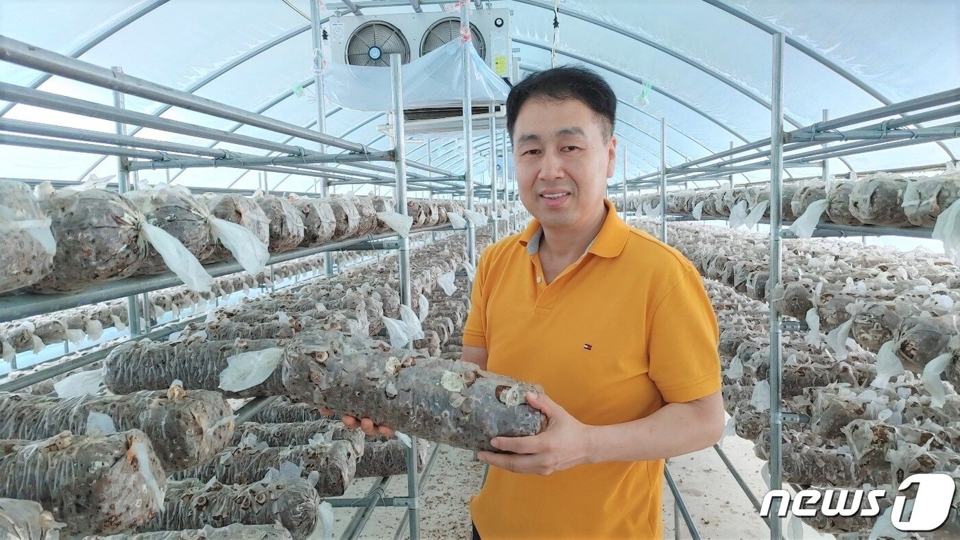 본문 이미지 - 농업회사법인 ㈜송고 고문수 대표가 옥천송고버섯 재배하우스를 둘러보고 있다. ⓒ 뉴스1