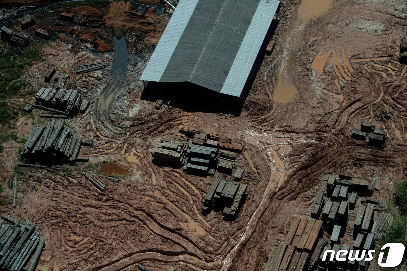 본문 이미지 - 브라질 아마조나스 주의 아마존 열대우림에 위치한 한 목재공장의 모습. 2022.06.06/뉴스1 ⓒ AFP=뉴스1 ⓒ News1 김민수 기자