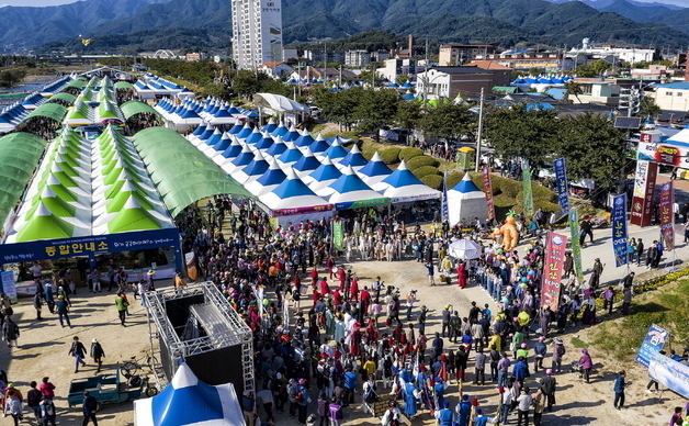영주시, 풍기인삼축제 수삼 전 과정 관리…외지삼 유입 차단