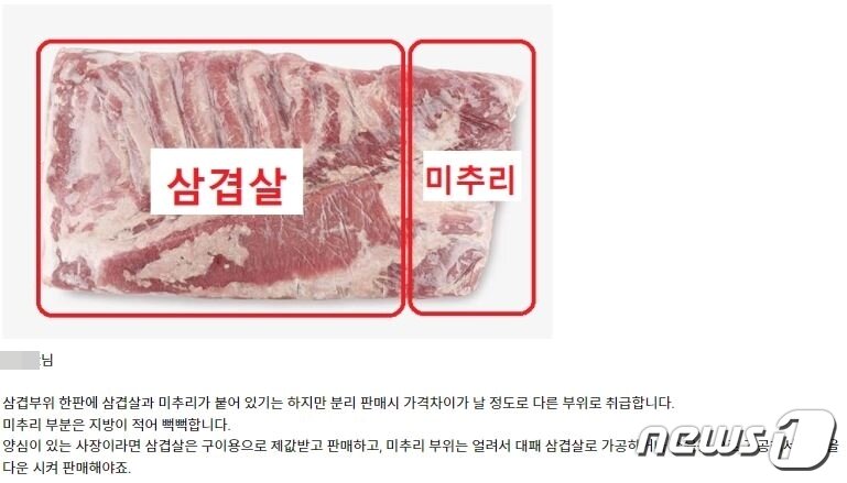 본문 이미지 - 한 누리꾼이 댓글로 미추리에 대해 설명했다. ⓒ 뉴스1