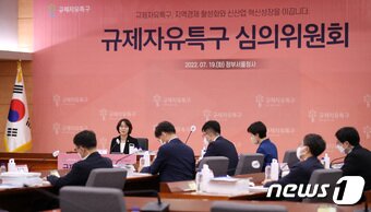 본문 이미지 - 사진은 규제자유특구 심의위원회. ⓒ News1 박지혜 기자