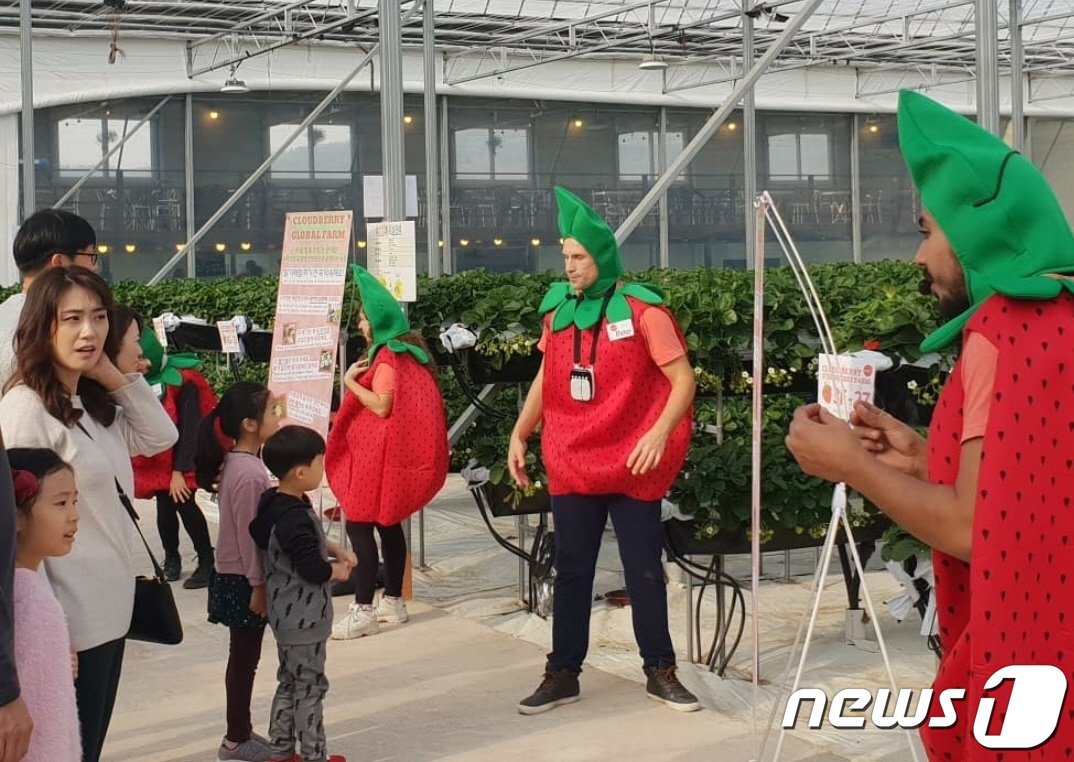 경남 김해에 소재한 클라우드베리에서 원어민들과 방문객들이 농촌체험 활동을 하고 있다. &#40;클라우드베리 제공&#41;ⓒ 뉴스1