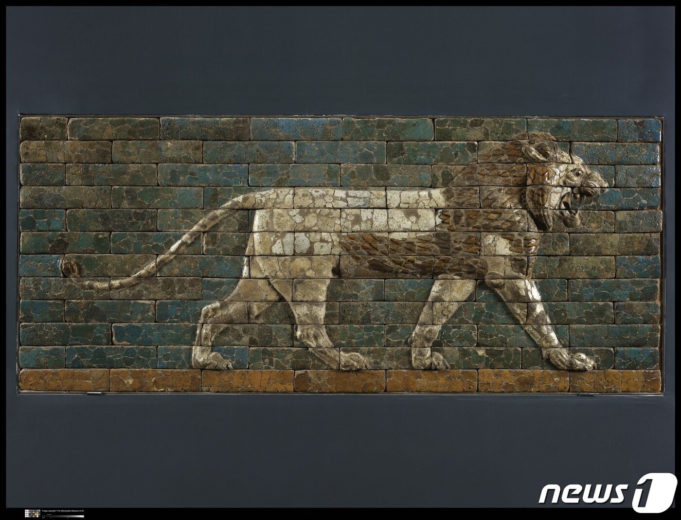 본문 이미지 - 사자 벽돌 패널. 기원전 약 604~562년, 신-바빌리 시대 바빌리 출토, 구운 점토에 유약 높이 97.2㎝미국 메트로폴리탄박물관 소장. ⓒ 뉴스1