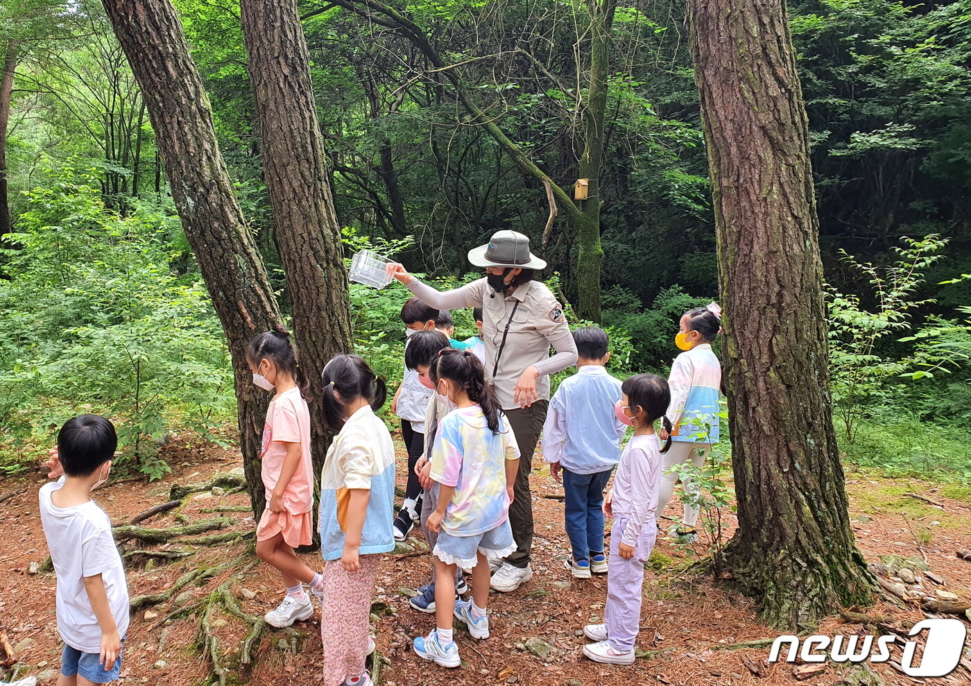 국립공원 자연해설사가 진행하는 ‘어린이 자연체험 프로그램’. 국립공원사무소에 다양한 야외/실내 프로그램이 준비되어 있다 ⓒ 뉴스1