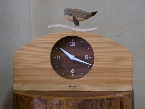 본문 이미지 - (키코리 유튜브 갈무리) ⓒ 뉴스1