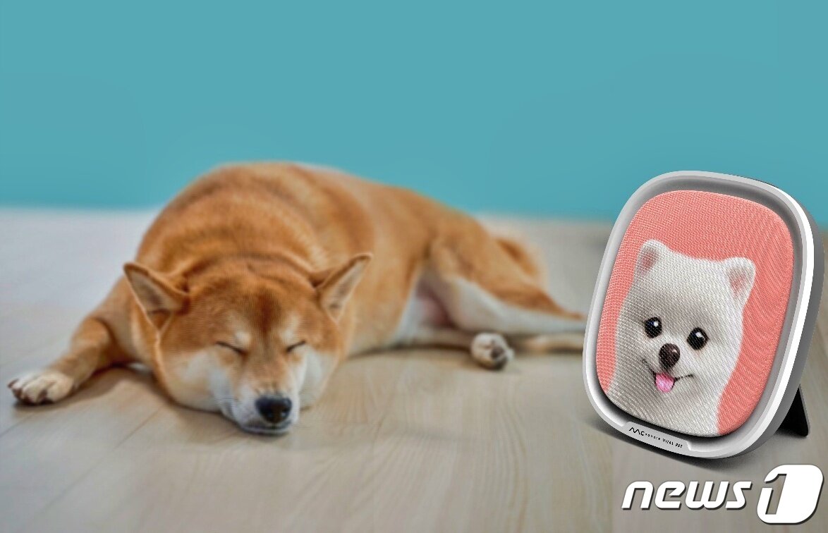 본문 이미지 - 엠씨스퀘어 바이탈펫 제품 ⓒ 뉴스1