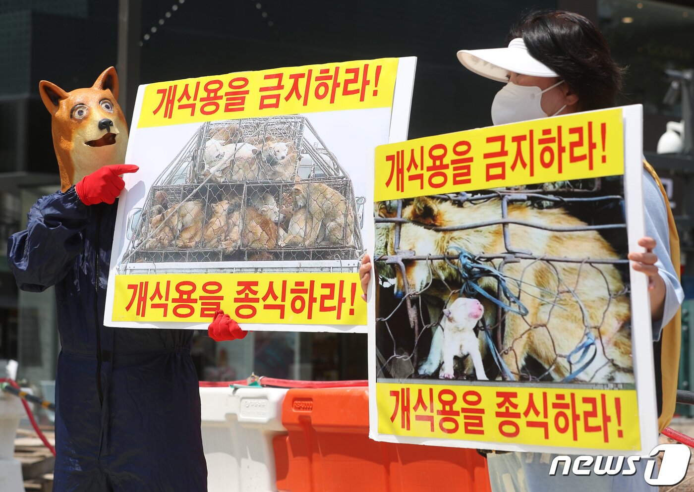 본문 이미지 - 중복인 26일 오후 서울 종로구 광화문광장에서 한국동물보호연합 관계자들이 개식용 종식을 촉구하는 퍼포먼스를 진행하고 있다. 2022.7.26/뉴스1 ⓒ News1 이성철 기자