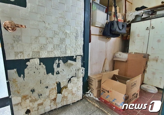 고양이들이 방치돼 있던 서울의 한 다세대주택의 모습 © 뉴스1 최서윤 기자