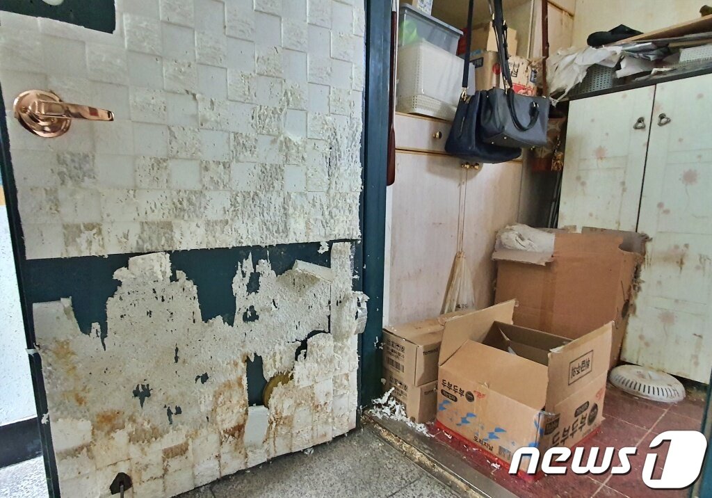본문 이미지 - 고양이들이 방치돼 있던 서울의 한 다세대주택의 모습 ⓒ 뉴스1 최서윤 기자