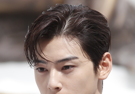 '진심' 강조했지만…차은우, 200억 탈세 의혹에 식지 않는 비판 [N이슈]