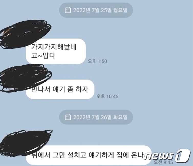 본문 이미지 - 대구 30대 기간제 여교사가 사건이 보도되자 남편에게 보낸 메시지. (온라인 커뮤니티 갈무리) ⓒ 뉴스1