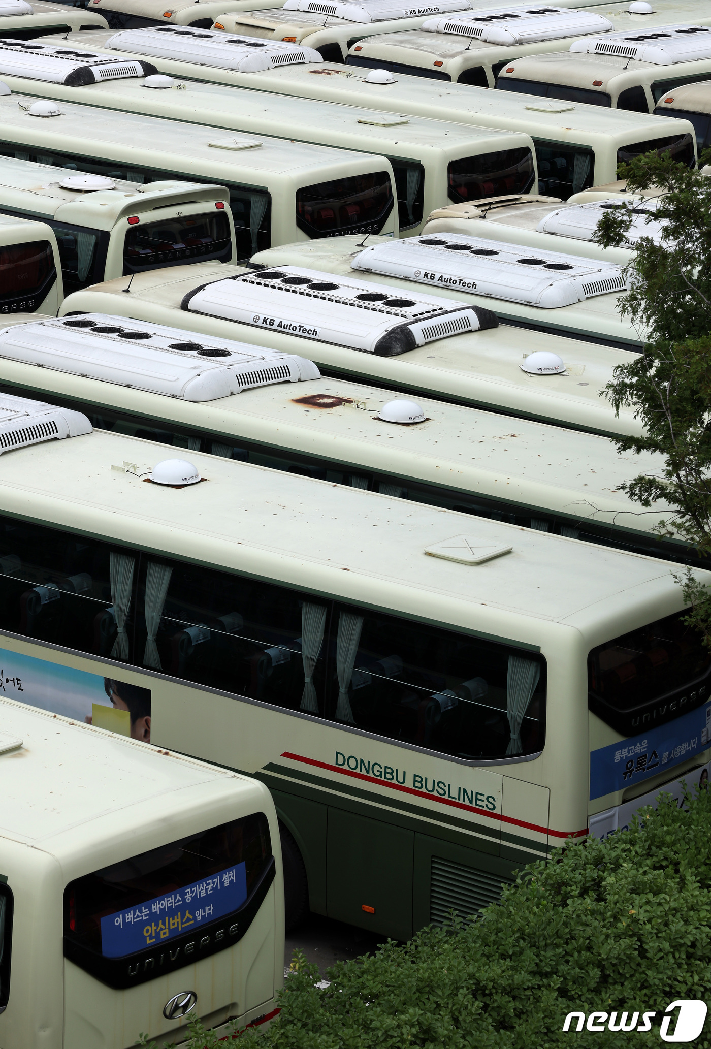 (서울=뉴스1) 이동해 기자 = 강원도 동해안 노선을 운행하는 동부고속 노조의 무기한 총파업이 시작된 27일 서울 서초구 고속버스터미널에서 운행을 멈춘 동부고속 버스들이 세워져 있 …