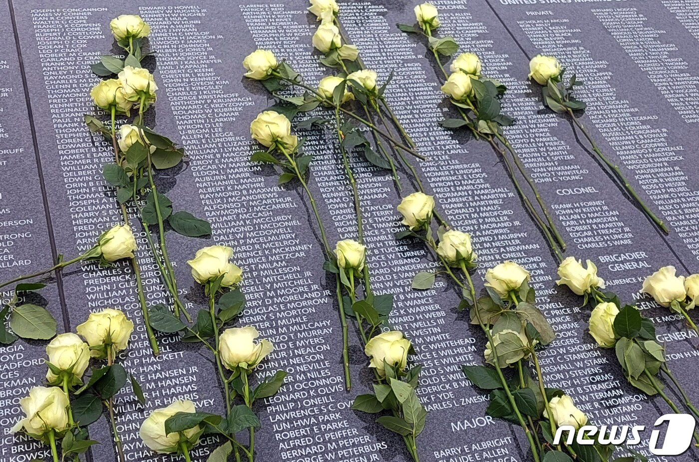 본문 이미지 - 한국전 참전용사 유가족들이 지난달 26일(현지시간) 미국 워싱턴DC 한국전 참전용사 기념공원 내에 건립된 '추모의 벽'에 햐얀 장미꽃을 헌화했다. 2022.7.27/뉴스1 ⓒ News1 김현 특파원