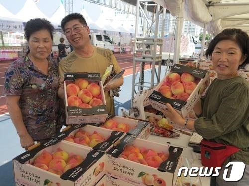 2019년 향수옥천 포도·복숭아축제  모습.&#40;옥천군 제공&#41;ⓒ 뉴스1